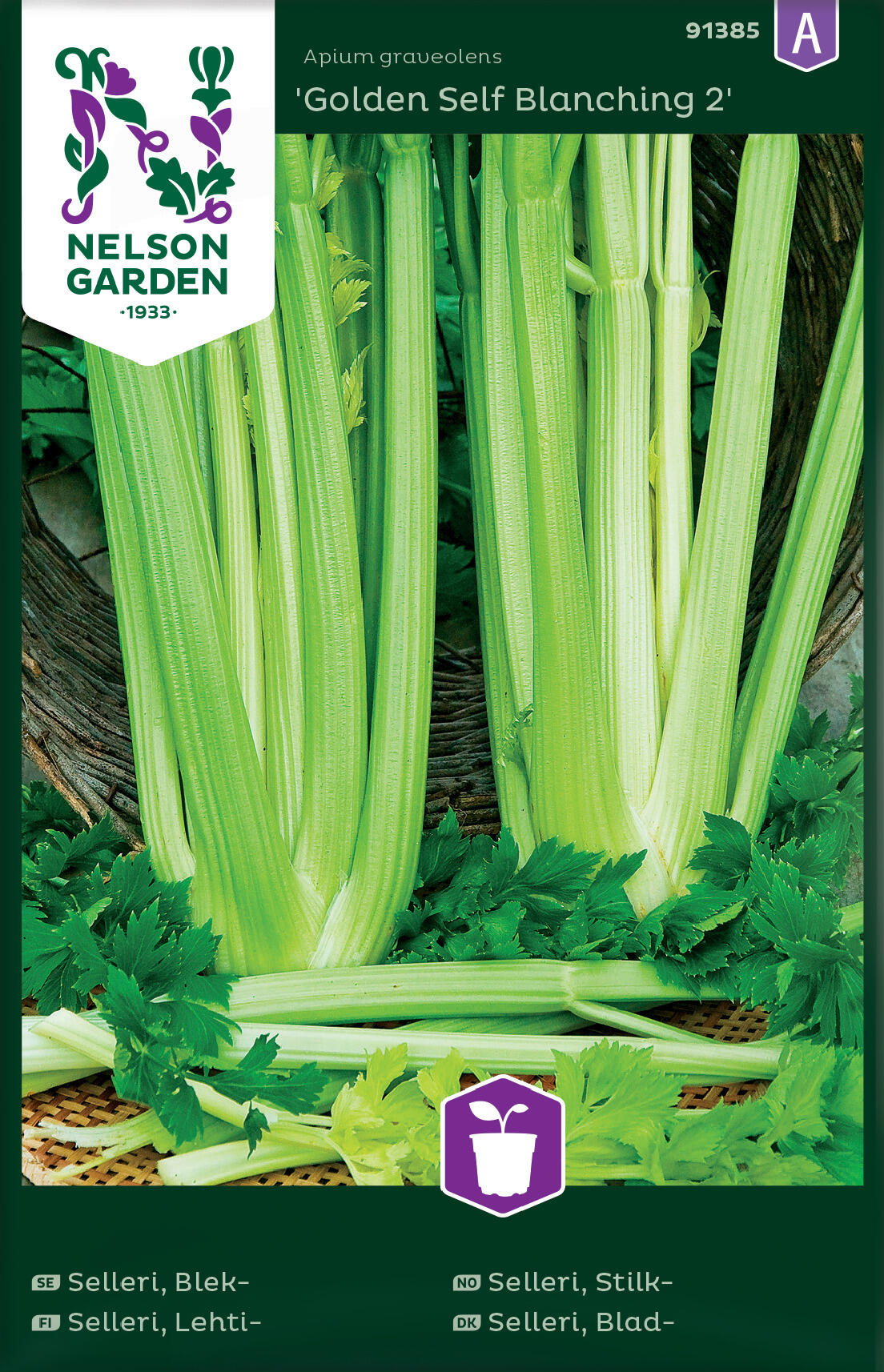 Stilkselleri 'Golden Self Blanching 2'